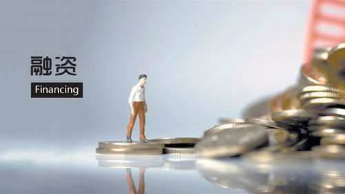 创业者福音还是挑战再现？ 投资人说2020年创业融资困局
